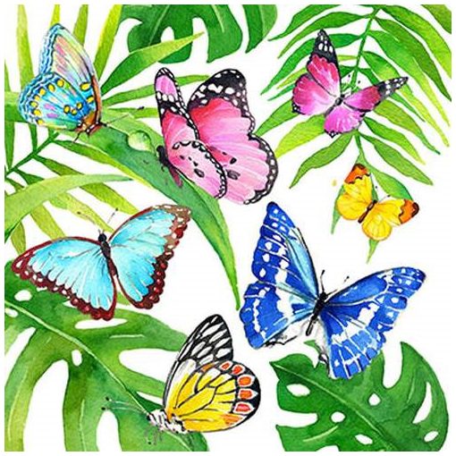 Tropical Butterflies papírszalvéta 33x33cm,20db-os