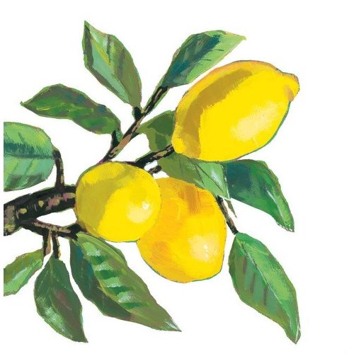 Lemon Musée white papírszalvéta 25x25cm, 20db-os