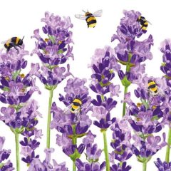 Bees & Lavender papírszalvéta 33x33cm,20db-os