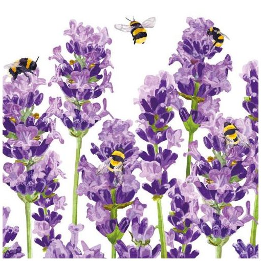 Bees & Lavender papírszalvéta 33x33cm,20db-os
