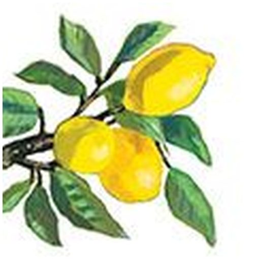 Lemon Musée white papírszalvéta 33x33cm,20db-os