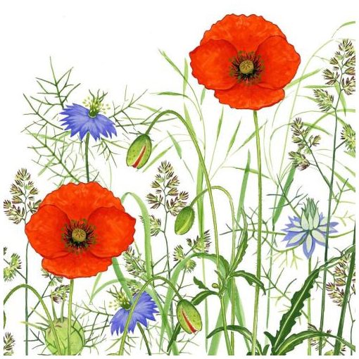 Poppy Field papírszalvéta 33x33cm,20db-os