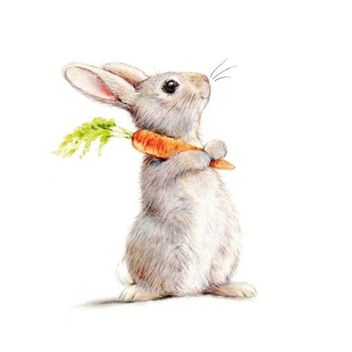 Rabbit & Carrot papírszalvéta 33x33cm, 20db-os