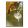 Hűtőmágnes 8x5,4x0,3cm,Degas: The Star