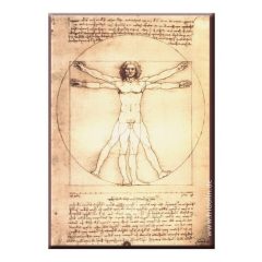   Hűtőmágnes 8x5,4x0,3cm,Leonardo Da Vinci: Vitruvius tanulmány