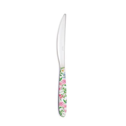 Rozsdamentes kés műanyag dekorborítású nyéllel,Garden Joy
