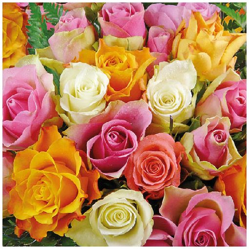 Colourful Roses papírszalvéta 33x33cm,20db-os
