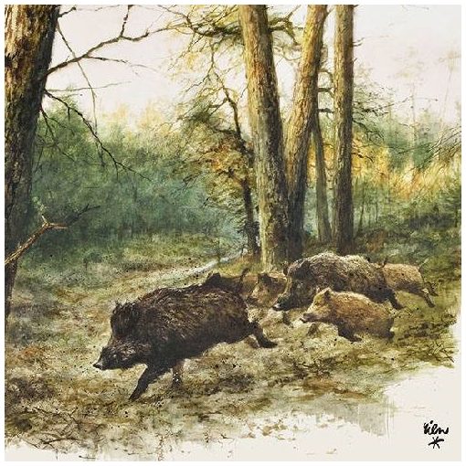 Wild Boars in the Woods papírszalvéta 33x33cm,20db-os