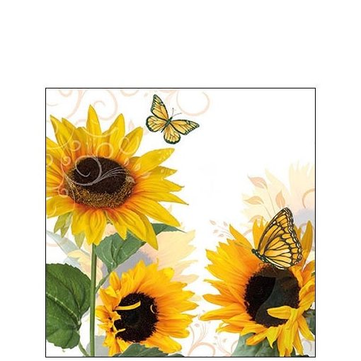 Sunny Butterfly papírszalvéta 25x25cm,20db-os