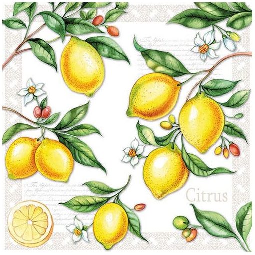 Citrus papírszalvéta 33x33cm,20db-os