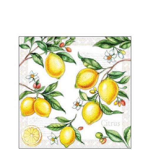 Citrus papírszalvéta 25x25cm,20db-os