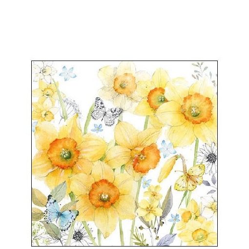 Classic Daffodils papírszalvéta 25x25cm,20db-os