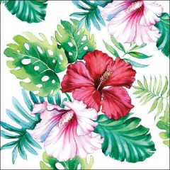 Hibiscus Floral White papírszalvéta 33x33cm,20db-os