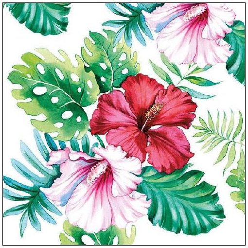 Hibiscus Floral White papírszalvéta 33x33cm,20db-os