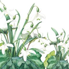 Snowdrops papírszalvéta 33x33cm,20db-os