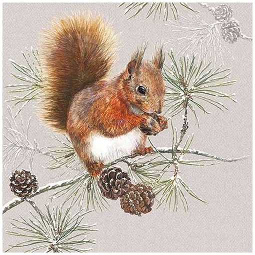 Squirrel In Winter papírszalvéta 33x33cm,20db-os