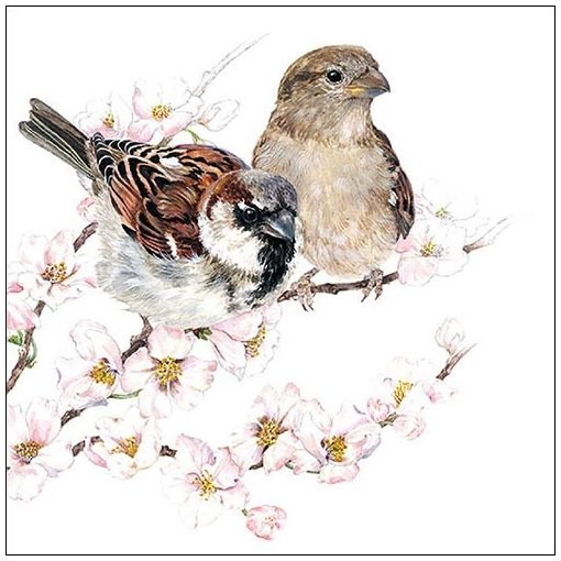 Sparrows Blossom papírszalvéta 33x33cm,20db-os