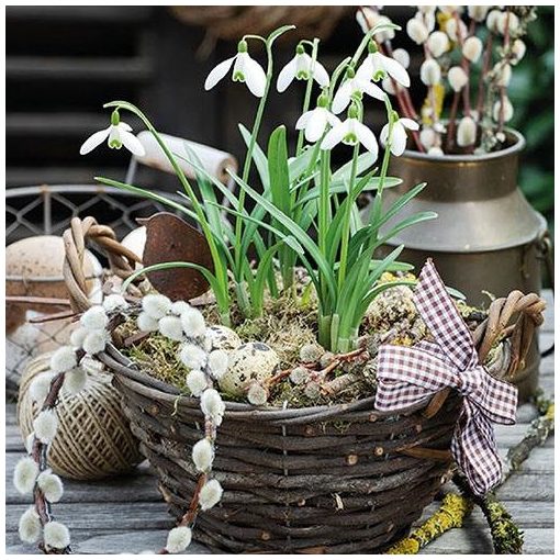 Snowdrops In Basket papírszalvéta 33x33cm,20db-os