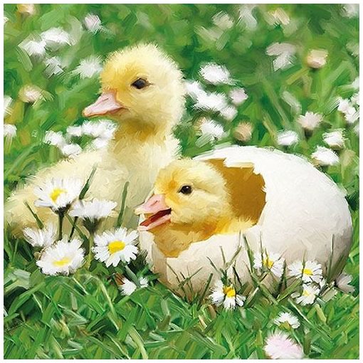 Newborn Chicks papírszalvéta 33x33cm,20db-os