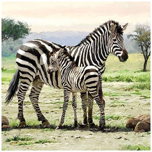 Zebras papírszalvéta 33x33cm,20db-os