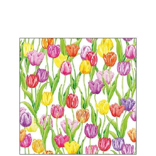 Magic Tulips papírszalvéta 25x25cm,20db-os