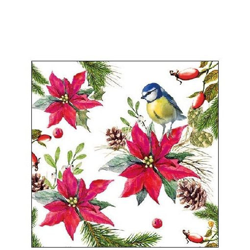 Bird on Poinsettia white papírszalvéta 25x25cm, 20db-os