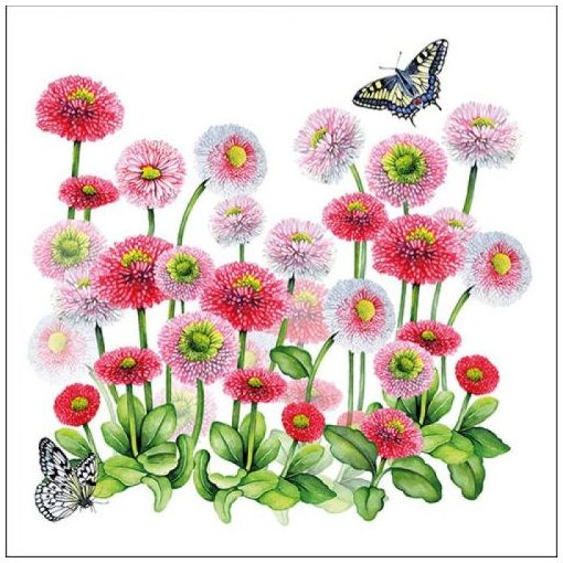 Bellis papírszalvéta 33x33cm, 20db-os