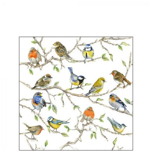 Birds Meeting papírszalvéta 25x25cm, 20db-os