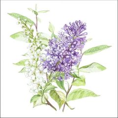 Lilac White papírszalvéta 33x33cm, 20db-os