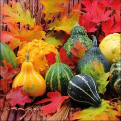 Pumpkins and Leaves papírszalvéta 33x33cm, 20db-os