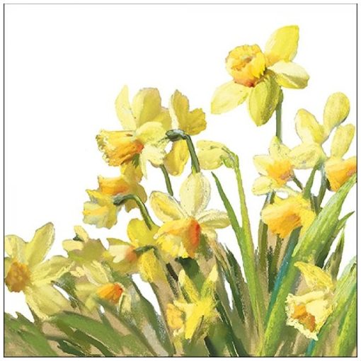 Golden Daffodils papírszalvéta 33x33cm, 20db-os