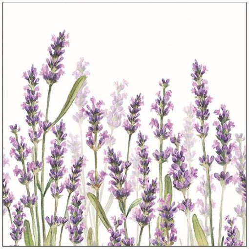 Lavender Shade White papírszalvéta 33x33cm,20db-os