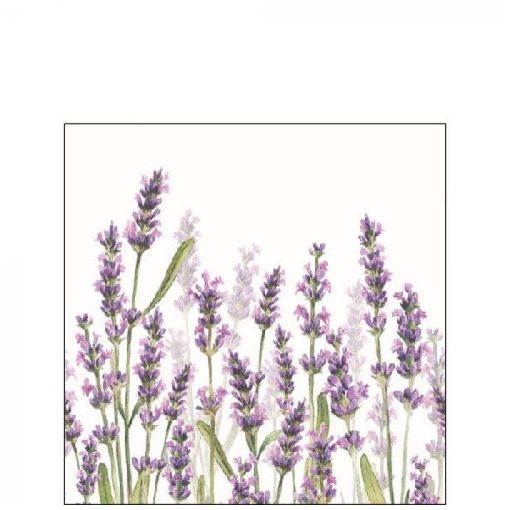 Lavender Shades white papírszalvéta 25x25cm,20db-os