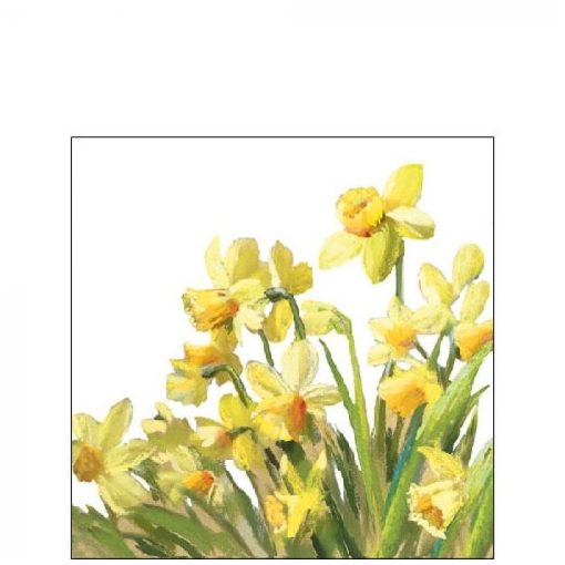 Golden Daffodils papírszalvéta 25x25cm, 20db-os