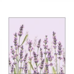 Lavender Shades lila papírszalvéta 25x25cm,20db-os