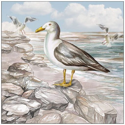 Seagull On The Shore papírszalvéta 33x33cm, 20db-os