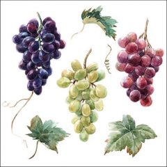 Wine grapes papírszalvéta 33x33cm, 20db-os