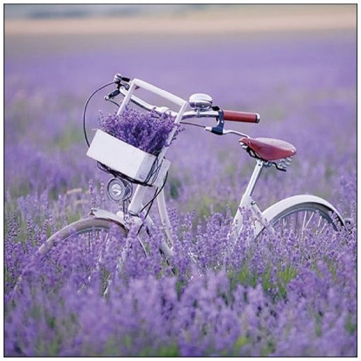 Bike In Lavender Field papírszalvéta 33x33cm, 20db-os