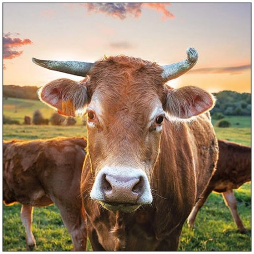 Cow in Sunset papírszalvéta 33x33cm, 20db-os