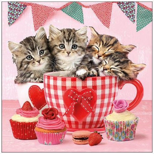 Cats in Tea Cups papírszalvéta 33x33cm, 20db-os