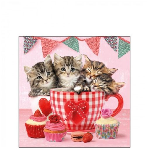 Cats In Tea Cups papírszalvéta 25x25cm,20db-os