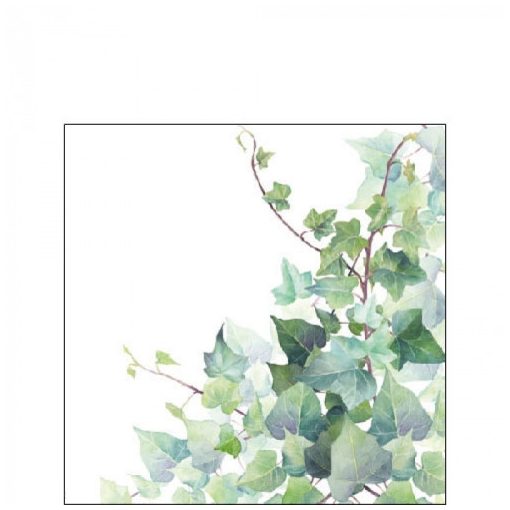 Hedera White papírszalvéta 25x25cm,20db-os