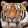 Bengal Tiger papírszalvéta 33x33cm, 20db-os