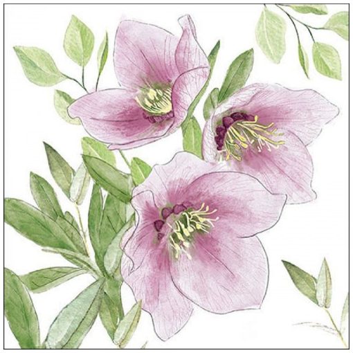 Classic helleborus papírszalvéta 33x33cm, 20db-os