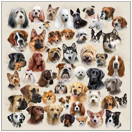 Collection of Dogs papírszalvéta 33x33cm, 20db-os