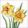 Flowering daffodils papírszalvéta 33x33cm, 20db-os
