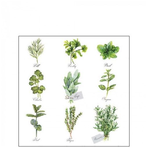 Herb selection papírszalvéta 25x25cm, 20db-os