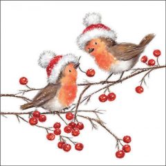 Christmas robins white papírszalvéta 33x33cm, 20db-os